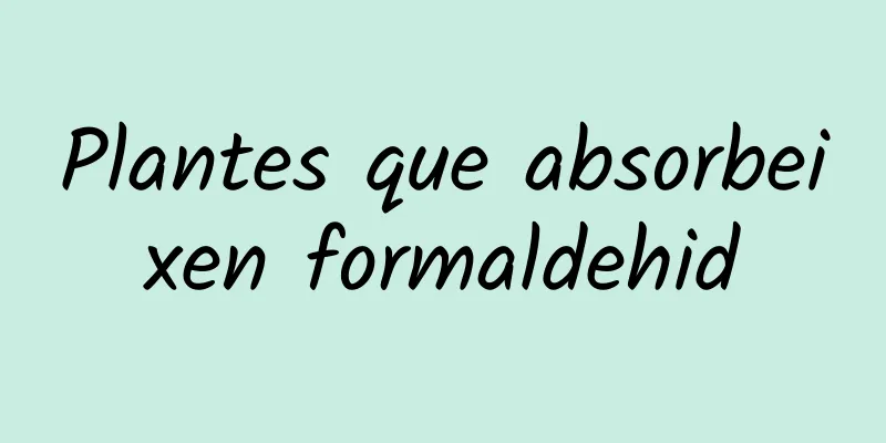 Plantes que absorbeixen formaldehid