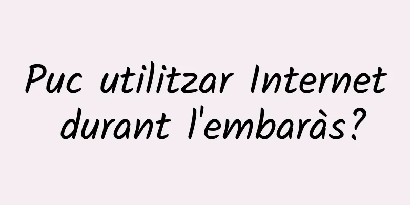 Puc utilitzar Internet durant l'embaràs?
