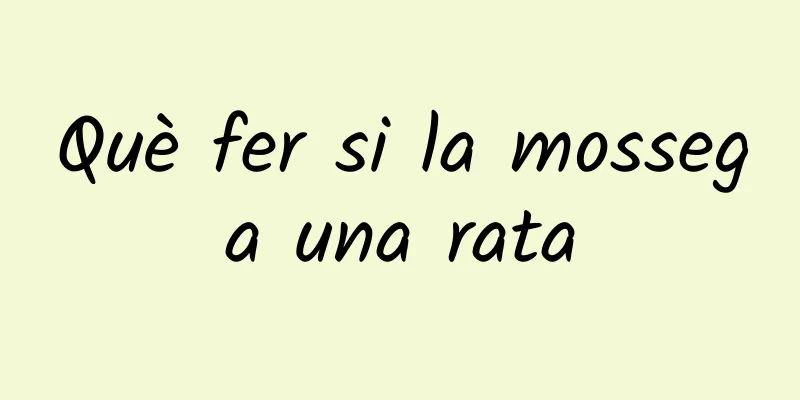 Què fer si la mossega una rata