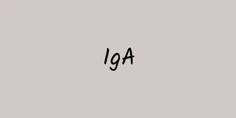 IgA