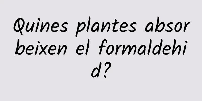 Quines plantes absorbeixen el formaldehid?