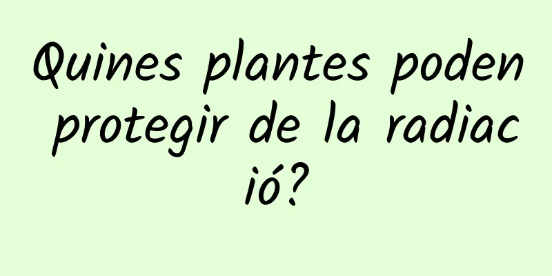 Quines plantes poden protegir de la radiació?