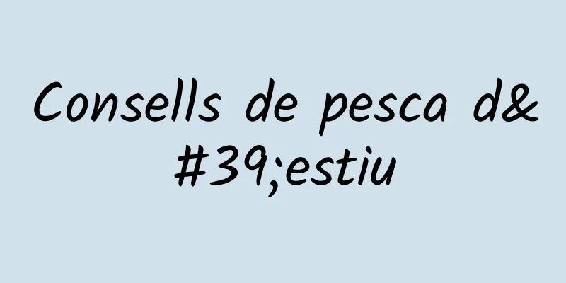 Consells de pesca d'estiu