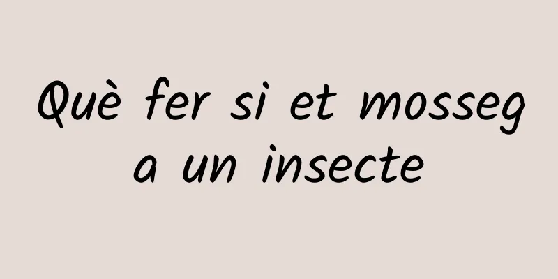 Què fer si et mossega un insecte