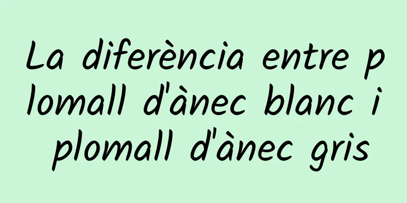 La diferència entre plomall d'ànec blanc i plomall d'ànec gris