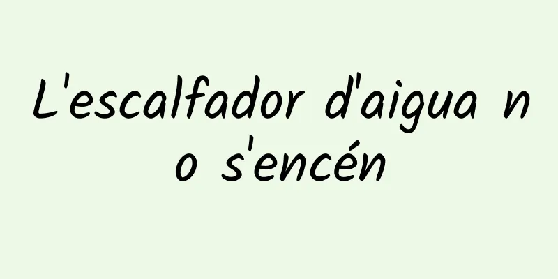 L'escalfador d'aigua no s'encén
