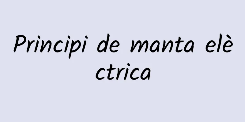 Principi de manta elèctrica