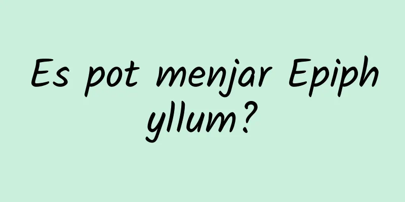 Es pot menjar Epiphyllum?