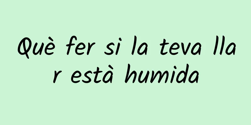 Què fer si la teva llar està humida