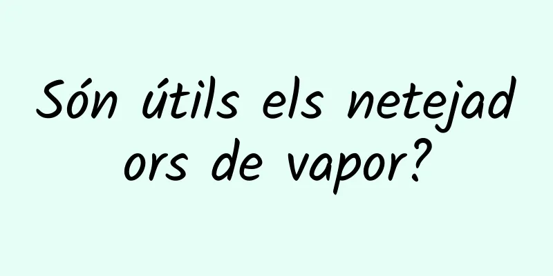 Són útils els netejadors de vapor?