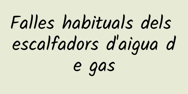 Falles habituals dels escalfadors d'aigua de gas