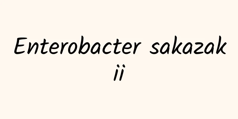 Enterobacter sakazakii