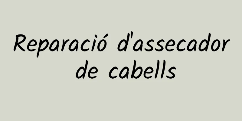 Reparació d'assecador de cabells