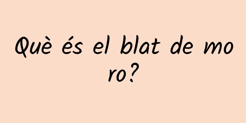 Què és el blat de moro?