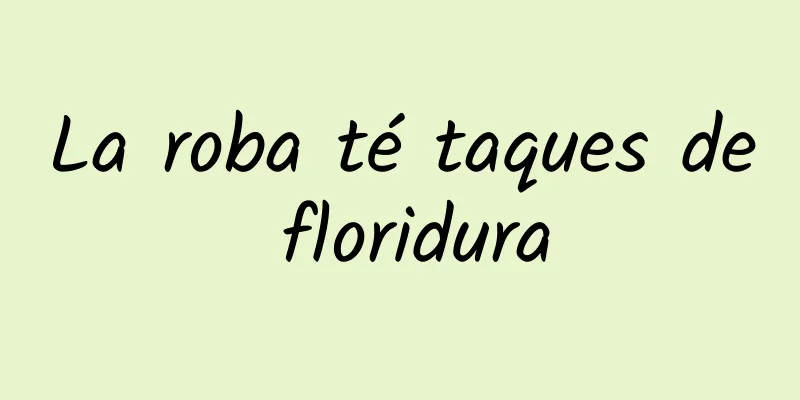 La roba té taques de floridura