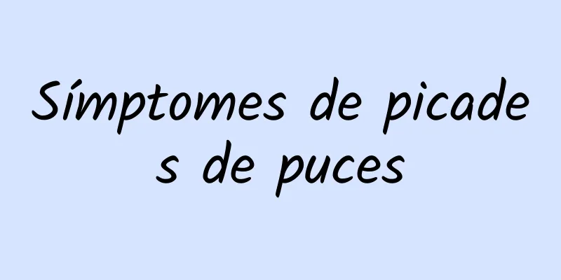 Símptomes de picades de puces