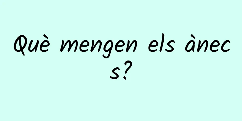 Què mengen els ànecs?