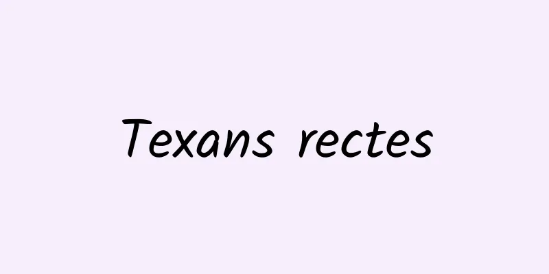 Texans rectes