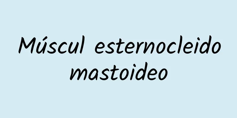 Múscul esternocleidomastoideo