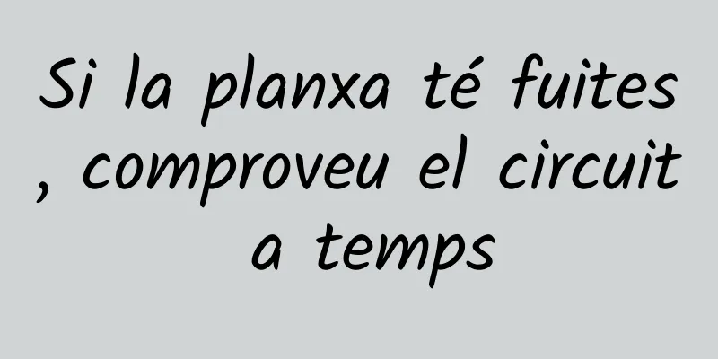 Si la planxa té fuites, comproveu el circuit a temps