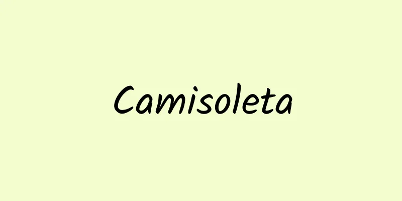 Camisoleta