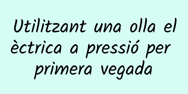 Utilitzant una olla elèctrica a pressió per primera vegada