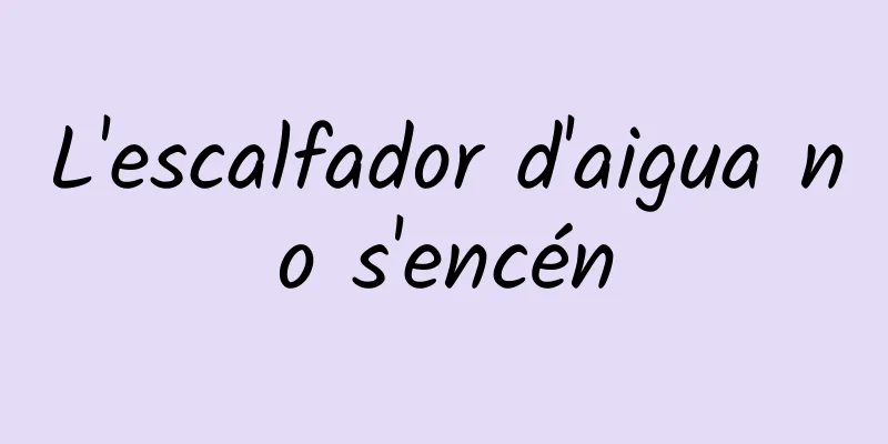 L'escalfador d'aigua no s'encén