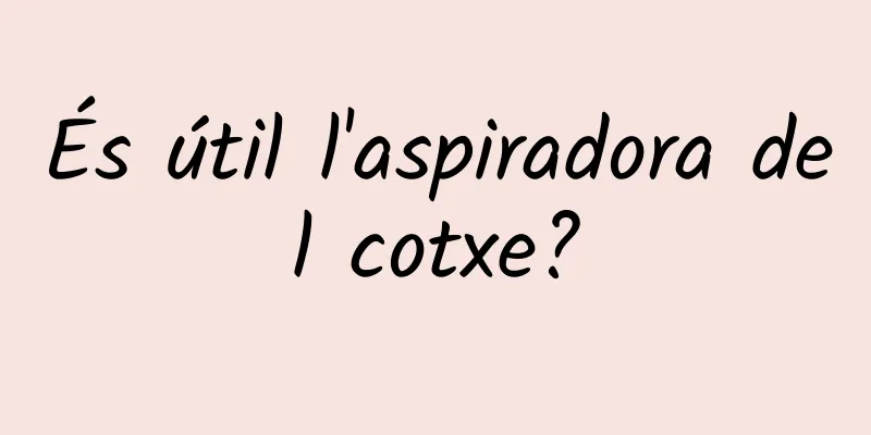 És útil l'aspiradora del cotxe?