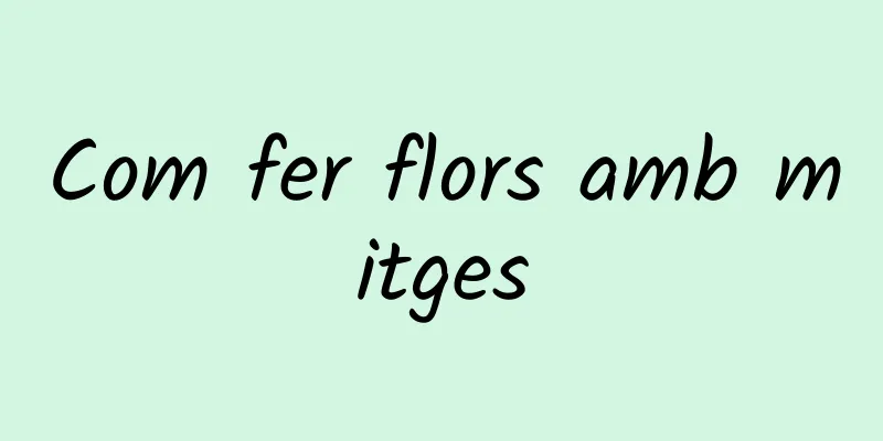 Com fer flors amb mitges