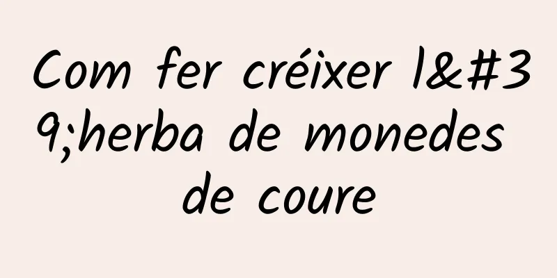 Com fer créixer l'herba de monedes de coure