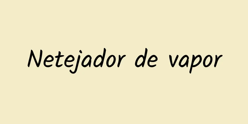 Netejador de vapor
