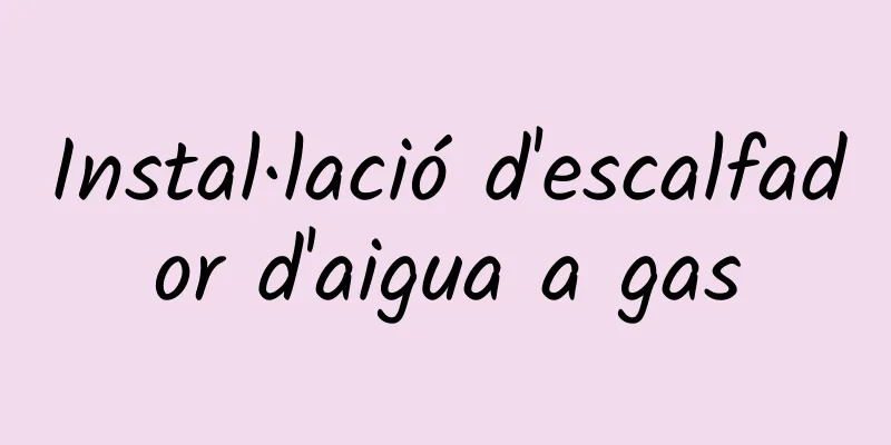 Instal·lació d'escalfador d'aigua a gas