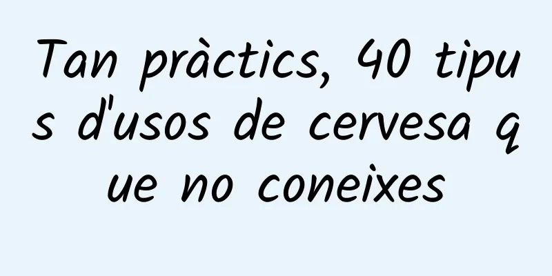 Tan pràctics, 40 tipus d'usos de cervesa que no coneixes