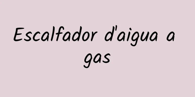 Escalfador d'aigua a gas
