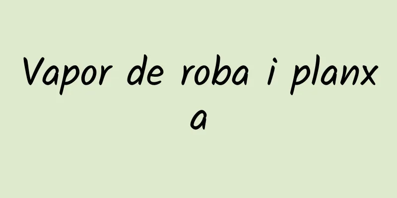 Vapor de roba i planxa