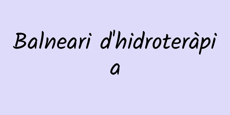 Balneari d'hidroteràpia
