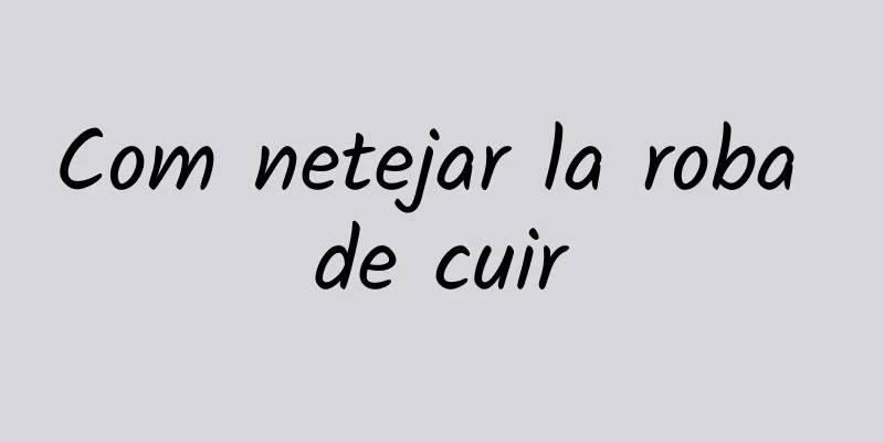 Com netejar la roba de cuir