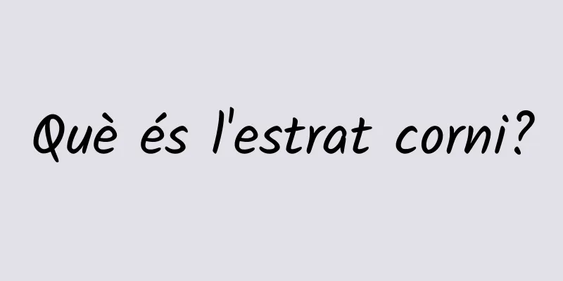Què és l'estrat corni?