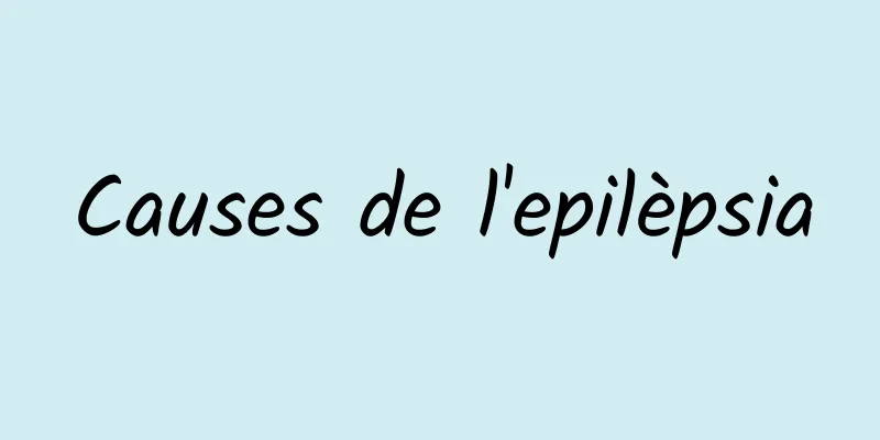 Causes de l'epilèpsia