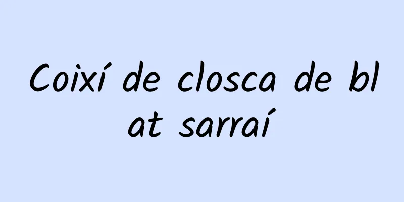 Coixí de closca de blat sarraí