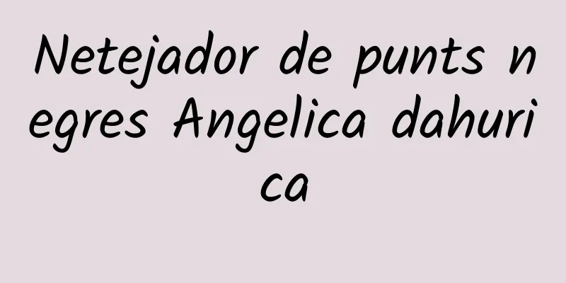 Netejador de punts negres Angelica dahurica
