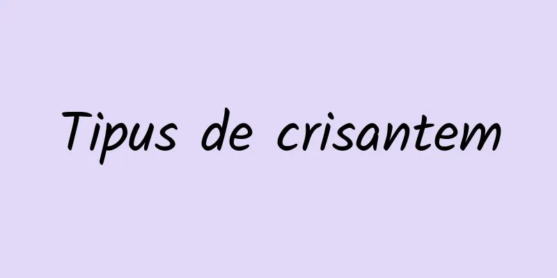 Tipus de crisantem