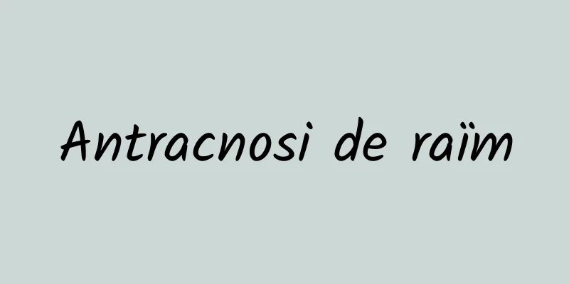 Antracnosi de raïm