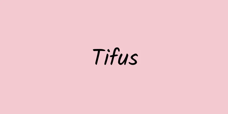 Tifus