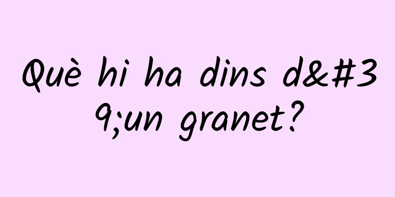 Què hi ha dins d'un granet?