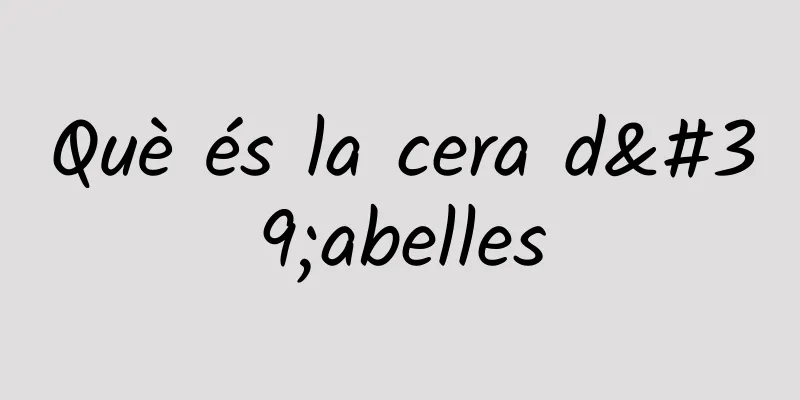 Què és la cera d'abelles