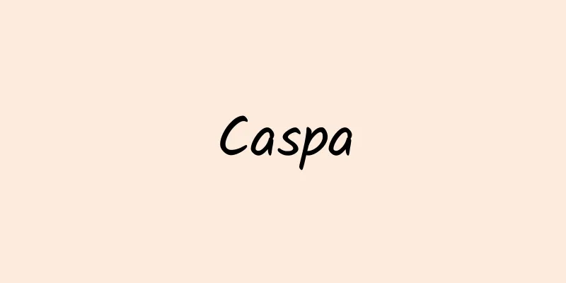 Caspa