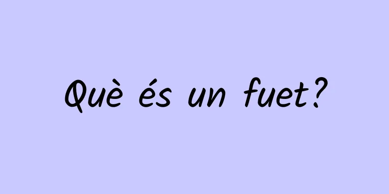 Què és un fuet?