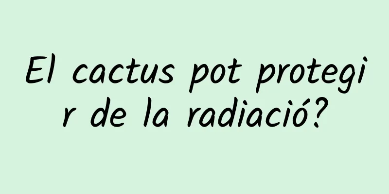 El cactus pot protegir de la radiació?