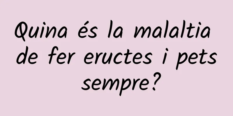 Quina és la malaltia de fer eructes i pets sempre?